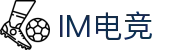 IM(股份有限公司)电竞-电子竞技平台"